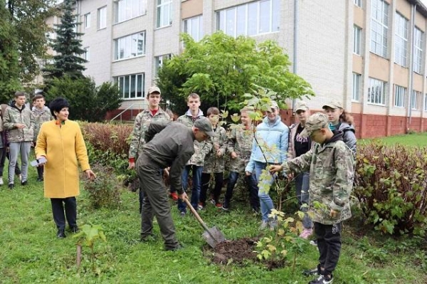 Зелена країна: майже 200 тис дерев висадили на Львівщині у межах екологічної ініціативи Президента України