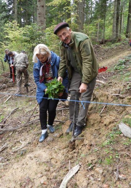 Зелена країна: майже 200 тис дерев висадили на Львівщині у межах екологічної ініціативи Президента України