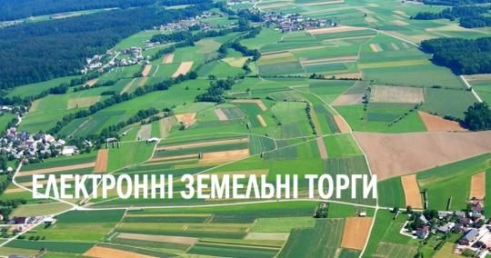 Від початку війни через онлайн-аукціони на території Львівщини успішно продали 46 земельних ділянок