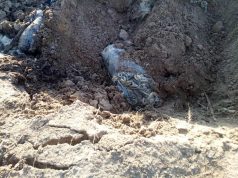 скотомогильник на жовківщині