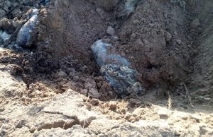 скотомогильник на жовківщині