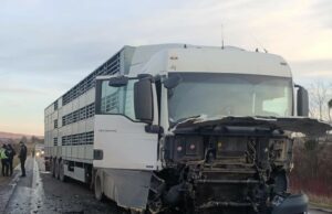 На Львівщині внаслідок зіткнення з вантажівкою загинули водій та пасажирка легковика – поліцейські встановлюють обставини