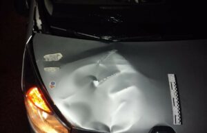 На Львівщині внаслідок автонаїздів загинуло двоє пішоходів – поліцейські встановлюють обставини