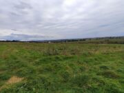 У Гряді вперше продаватимуть право оренди на землю