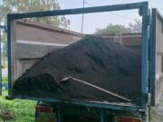 У Львові висадять сотні рослин в освітніх закладах