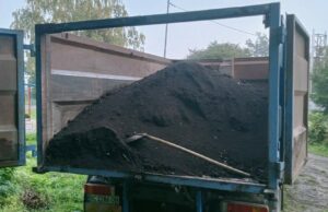 У Львові висадять сотні рослин в освітніх закладах