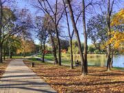 Львів збільшує кількість зелених зон до 1200 га