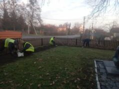 Тисяча тюльпанів розквітнуть у Зашкові та Зарудцях