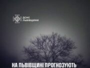 Туман на Львівщині: застереження для водіїв і пішоходів