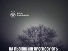 Туман на Львівщині: застереження для водіїв і пішоходів