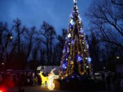 Дрогобич готується до свят