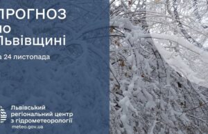 24 листопада по Львівщині очікують сніг та ожеледицю