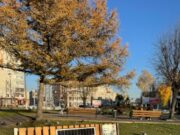 У Новояворівську встановили лавку з зарядною станцією