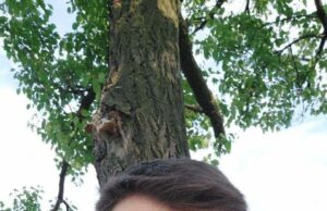 Віктор Ляшенко