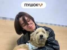 У листопаді ЛКП «Лев» прилаштувало в родини 11 тварин