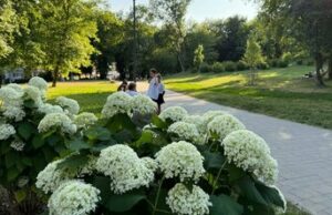 Львів’ян закликають ділитись думками про парки міста