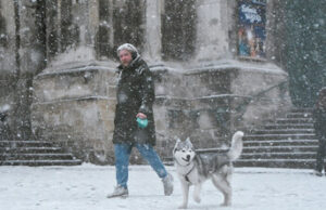 На Львівщині 7 січня очікують сніг та ожеледицю