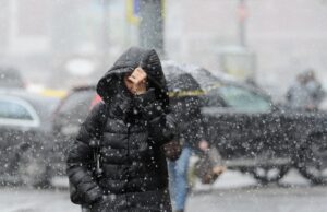 Негода на Львівщині спричинила обриви електромереж