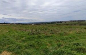 Львівська громада продала право оренди на землю