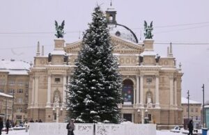 Головну ялинку Львова передадуть для Домівки тварин