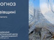 Прогноз погоди у Львові та області: мороз та ожеледиця