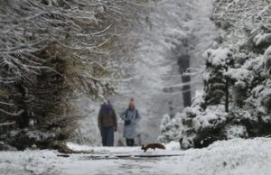 Синоптики попереджають про ожеледицю завтра у Львові