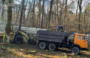 Судитимуть керівницю філії ДП «Львіввугілля» за рубку лісу