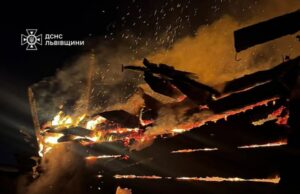 Рятувальники зупинили пожежу в селі Сілець — під загрозою були два будинки