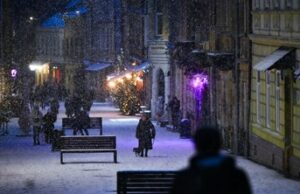 Львів очікує невеликий сніг та ожеледицю 17 лютого