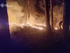 Чоловік постраждав через паління трави у Страдчі