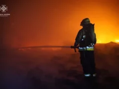 На Львівщині ліквідували 85 пожеж за добу