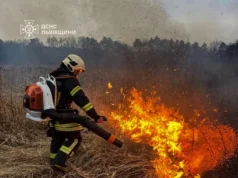 (Українська) На Львівщині за добу ліквідували 37 пожеж в екосистемі