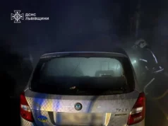 Пожежа в Сокалі: вогнеборці врятували будинок