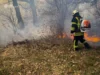 Львівщина: 21 пожежа сухої трави за добу