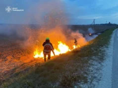Львівщина бореться з 27 екопожежами за добу