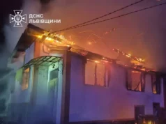 Пожежа в Нижній Яблуньці: врятовано господарську будівлю