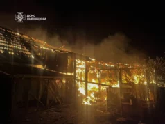 Пожежа в селі Прибужани: вогнеборці врятували будинки