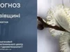 Львівщина: погодні умови на 6 квітня 2026 року