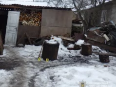 Мешканця Львівщини звинувачено у жорстокому вбивстві кота