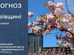 Похмура погода на Львівщині з можливим дощем