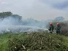 На Львівщині за добу ліквідовано 12 пожеж
