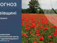 На Львівщині 29 травня очікують заморозки та посилений вітер