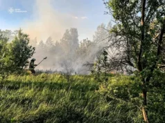 На Львівщині за добу зафіксували 21 пожежу в екосистемах