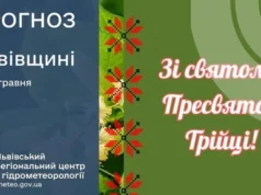 Прогноз погоди на 31 травня для Львова та області