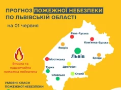 На Львівщині 1–3 червня прогнозують високу пожежну небезпеку
