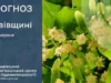На Львівщині 1 червня очікують грози та туман На Львівщині 1 червня очікують грози та туман