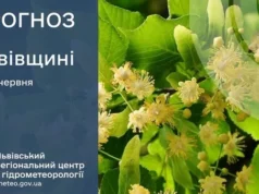 На Львівщині 1 червня очікують грози та туман