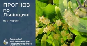 На Львівщині 1 червня очікують грози та туман