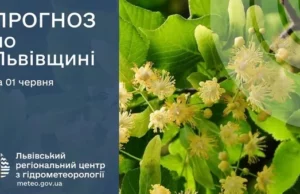 На Львівщині 1 червня очікують грози та туман
