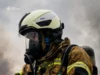 На Львівщині за добу ліквідували 33 пожежі, з них 14 в екосистемах